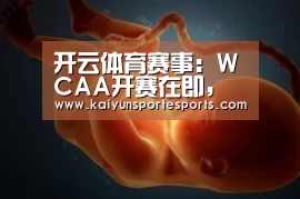 开云体育赛事:WCAA开赛在即,三方赛事是布局电竞长尾最优解?(图1) 开云体育赛事